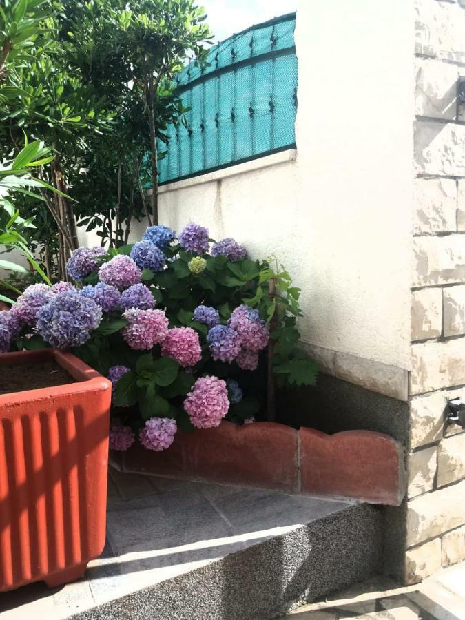 Ml Apartman セニ エクステリア 写真
